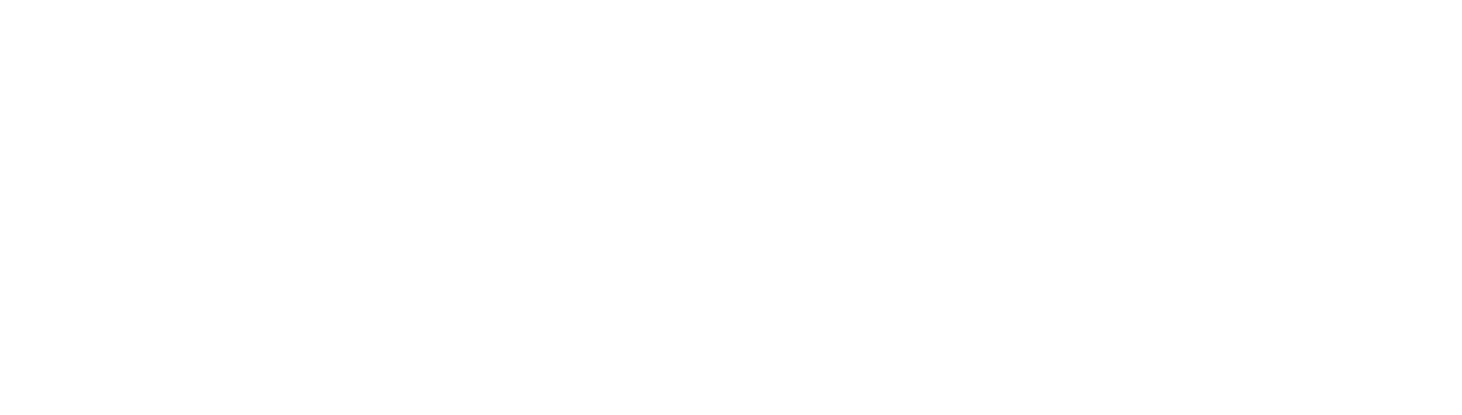 STENEO